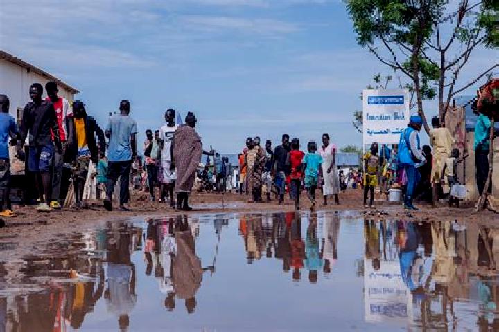 Escorts Ngo, Congo — Local Companions