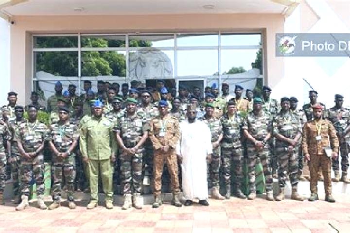 Escorts Niaga, Burkina Faso — Local Companions