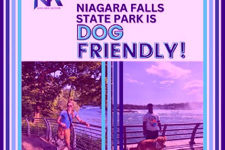 Escorts Niagara Park, Australia — Local Companions