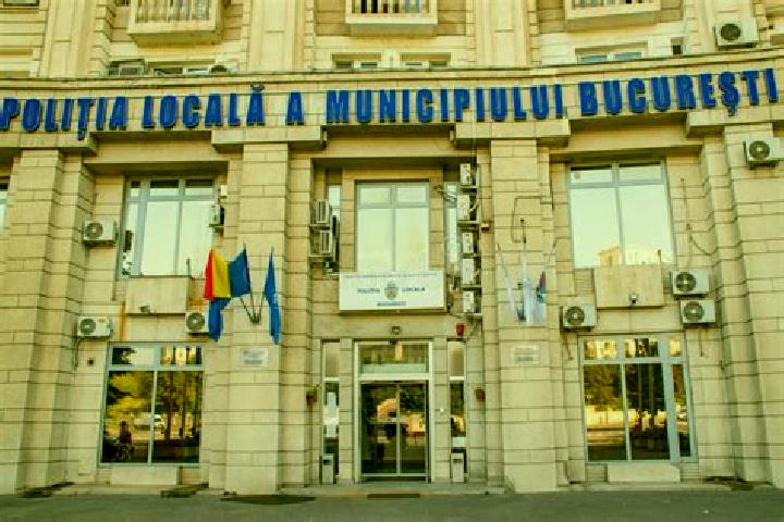 Escorts Niculitel, Romania — Local Companions
