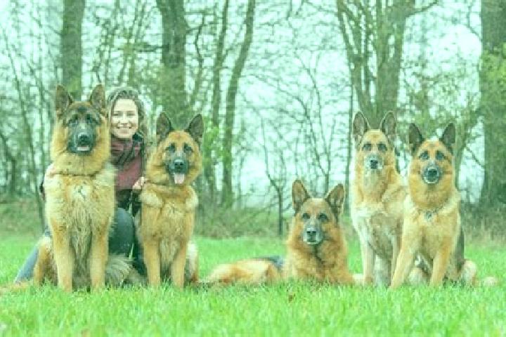 Escorts Niederzissen, Germany — Local Companions
