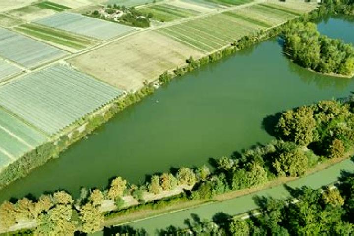 Escorts Nieppe, France — Local Companions