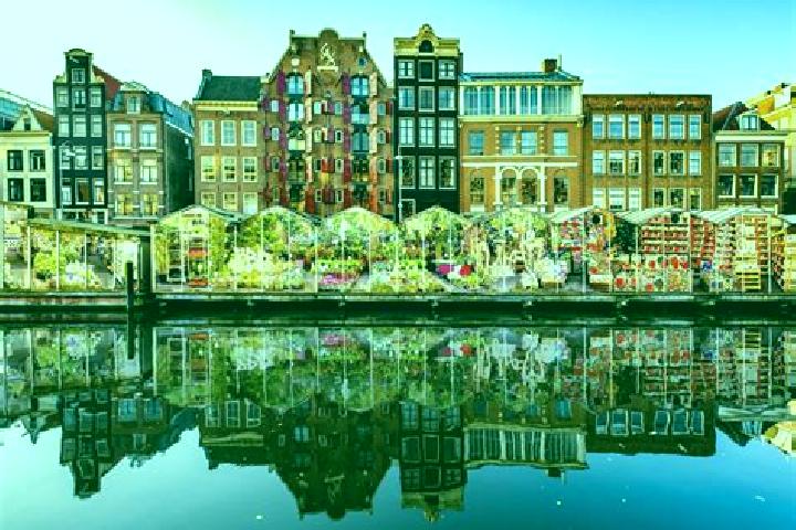Escorts Nieuw-Amsterdam, Netherlands — Local Companions