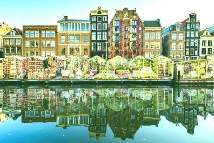 Escorts Nieuw-Bergen, Netherlands — Local Companions