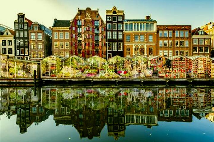 Escorts Nieuwoord, Netherlands — Local Companions