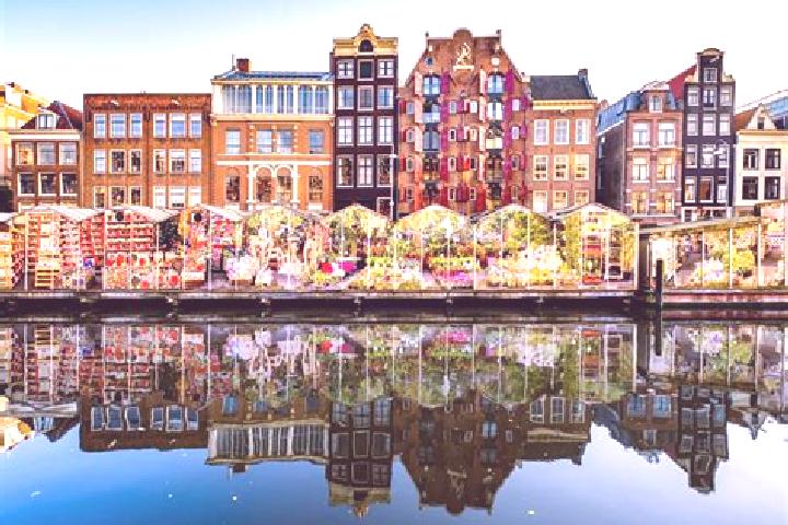 Escorts Nijrees, Netherlands — Local Companions