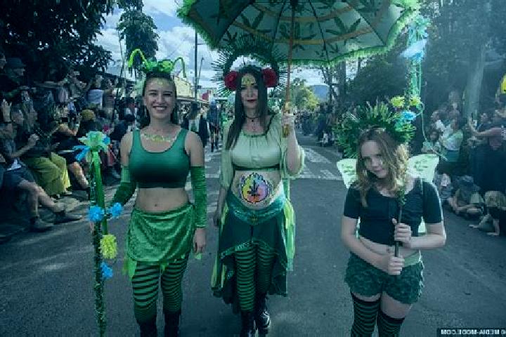 Escorts Nimbin, Australia — Local Companions