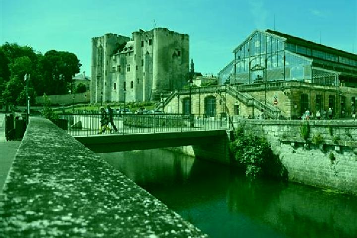Escorts Niort, France — Local Companions