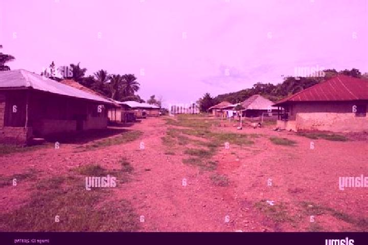 Escorts Njala, Sierra Leone — Local Companions
