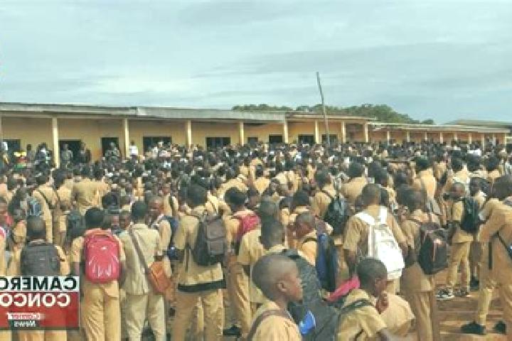 Escorts Nkambe, Cameroon — Local Companions