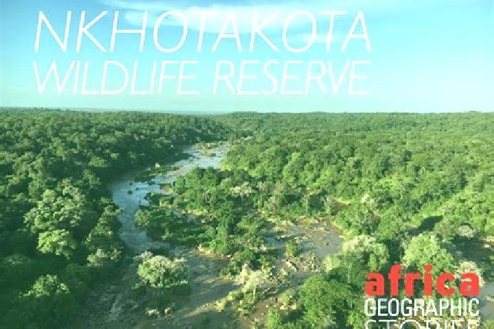 Escorts Nkhotakota, Malawi — Local Companions