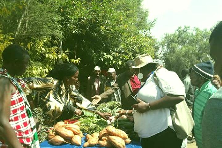 Escorts Nkoaranga, Tanzania — Local Companions