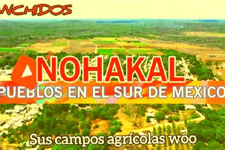 Escorts Nohakal, Mexico — Local Companions