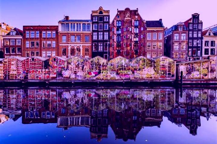 Escorts Noorbeek, Netherlands — Local Companions