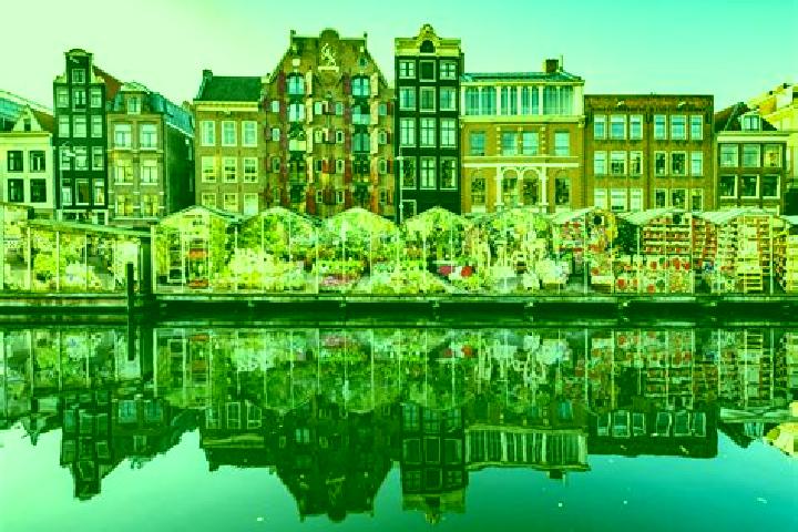 Escorts Noord-Hofland, Netherlands — Local Companions