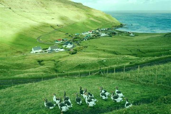 Escorts Nordragota, Faroe Islands — Local Companions