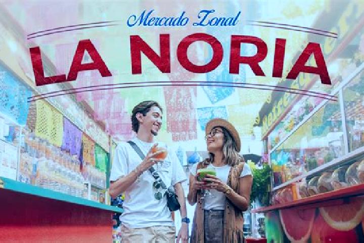 Escorts Noria de Camarena, Mexico — Local Companions