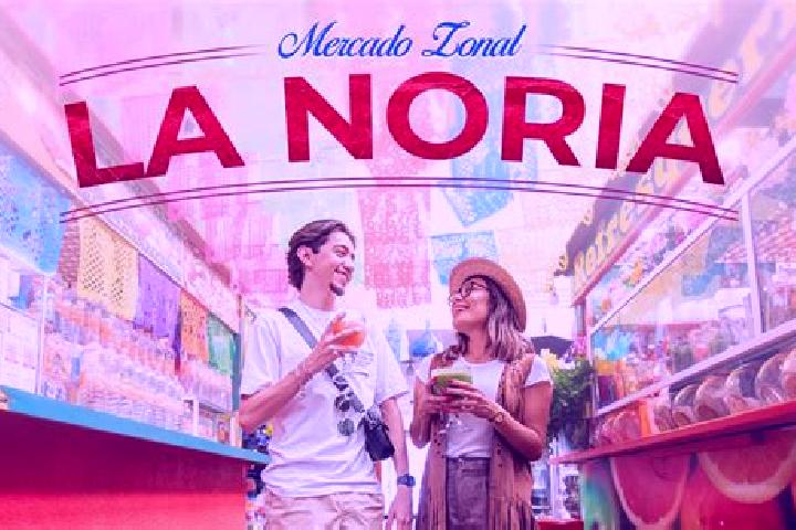 Escorts Noria Nueva, Mexico — Local Companions