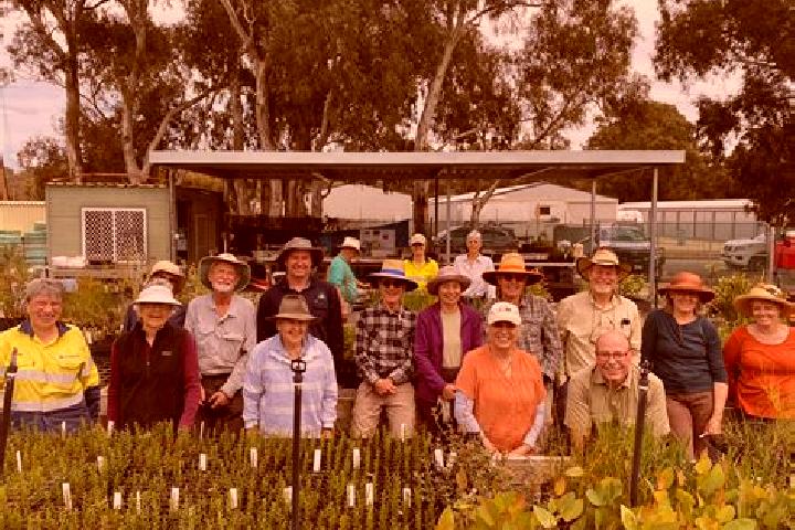Escorts Normanville, Australia — Local Companions