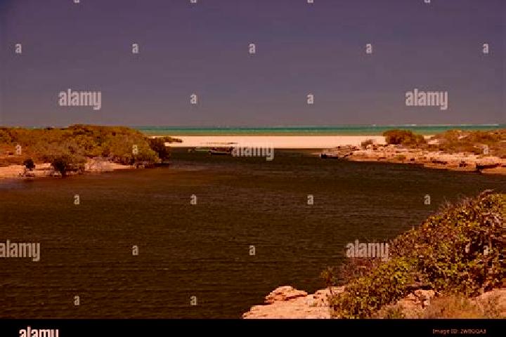 Escorts North West Cape, Australia — Local Companions