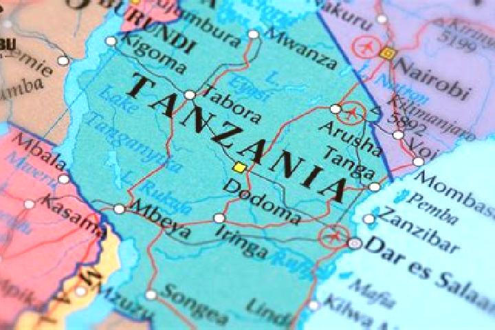 Escorts Nshamba, Tanzania — Local Companions