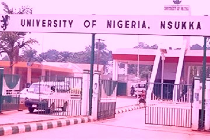Escorts Nsukka, Nigeria — Local Companions
