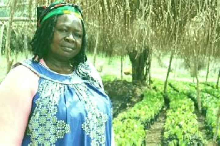 Escorts Ntui, Cameroon — Local Companions