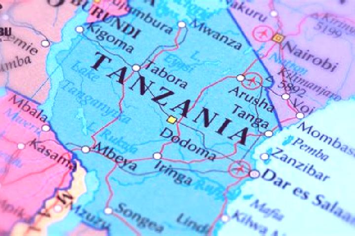Escorts Nyamuswa, Tanzania — Local Companions