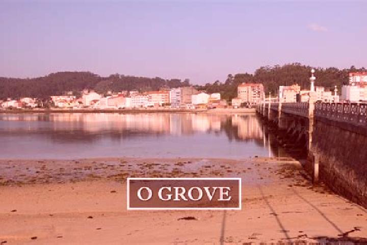 Escorts O Grove, Spain — Local Companions