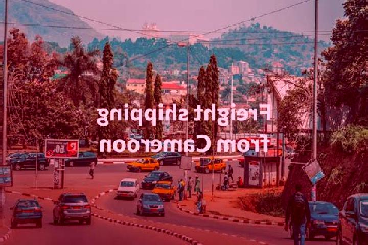 Escorts Obala, Cameroon — Local Companions