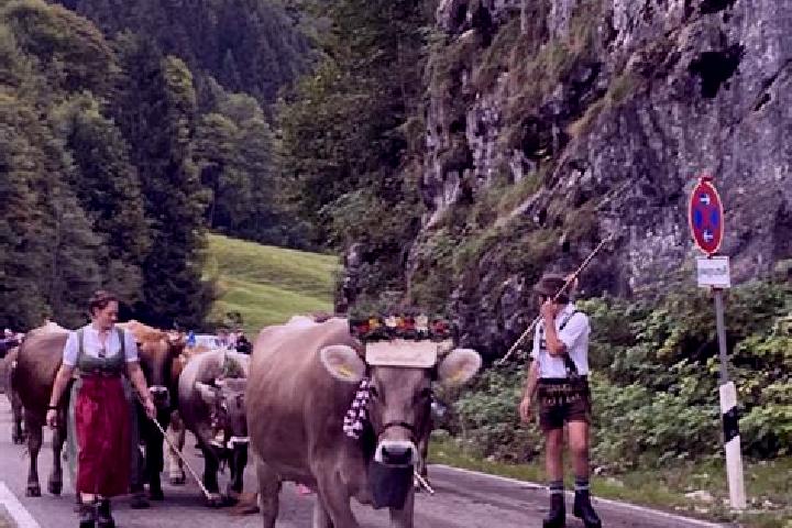 Escorts Obermaiselstein, Germany — Local Companions
