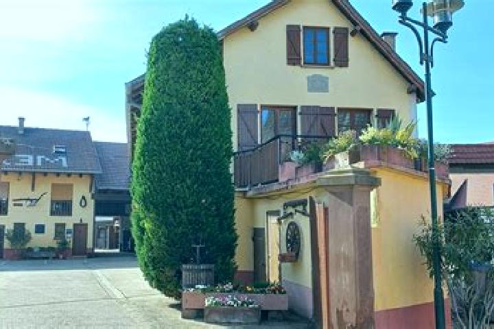 Escorts Oberschaeffolsheim, France — Local Companions