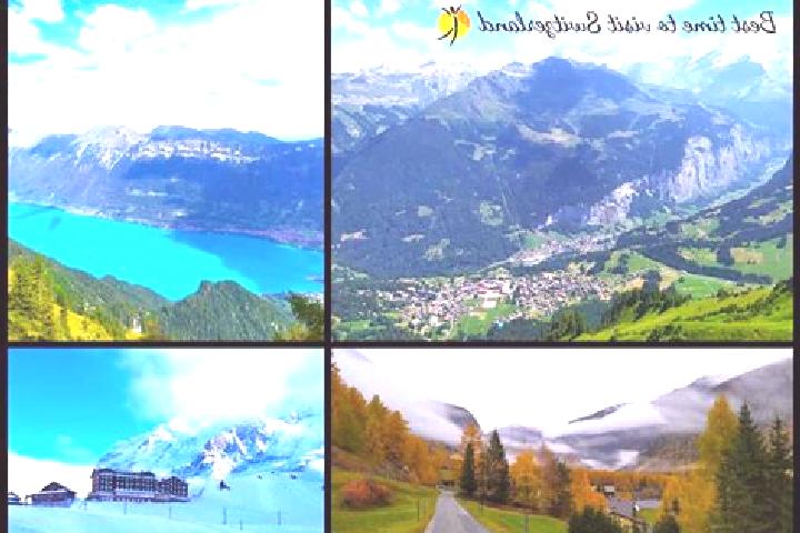 Escorts Obersiggenthal, Switzerland — Local Companions