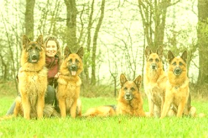 Escorts Obertshausen, Germany — Local Companions