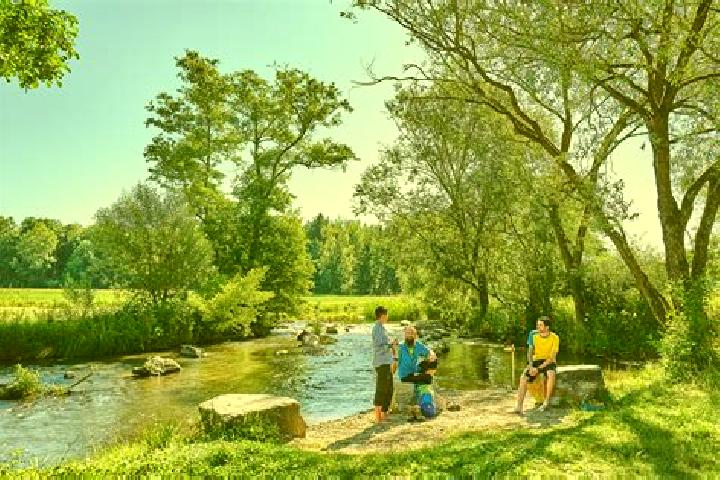 Escorts Oberviechtach, Germany — Local Companions