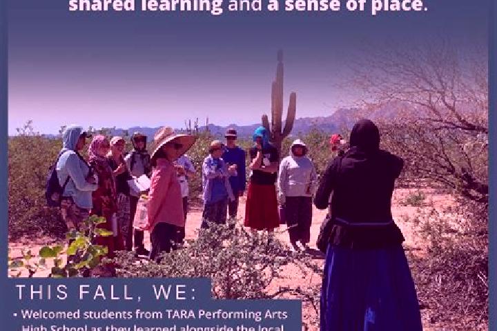 Escorts Ocotillo, Mexico — Local Companions