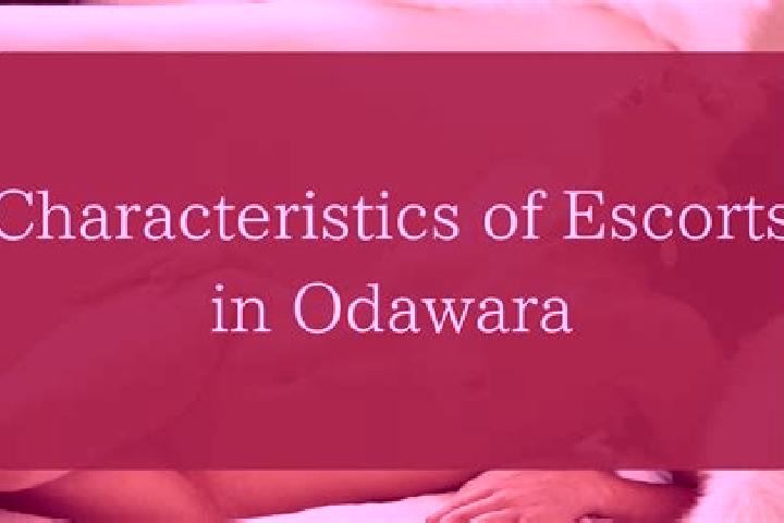 Escorts Odawara, Japan — Local Companions
