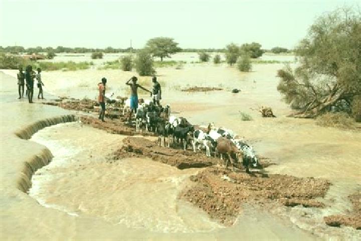 Escorts Odobere, Senegal — Local Companions