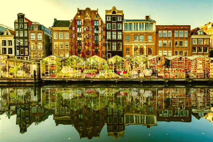 Escorts Oentsjerk, Netherlands — Local Companions