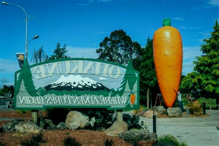 Escorts Ohakune, New Zealand — Local Companions
