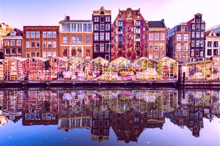Escorts Olland, Netherlands — Local Companions
