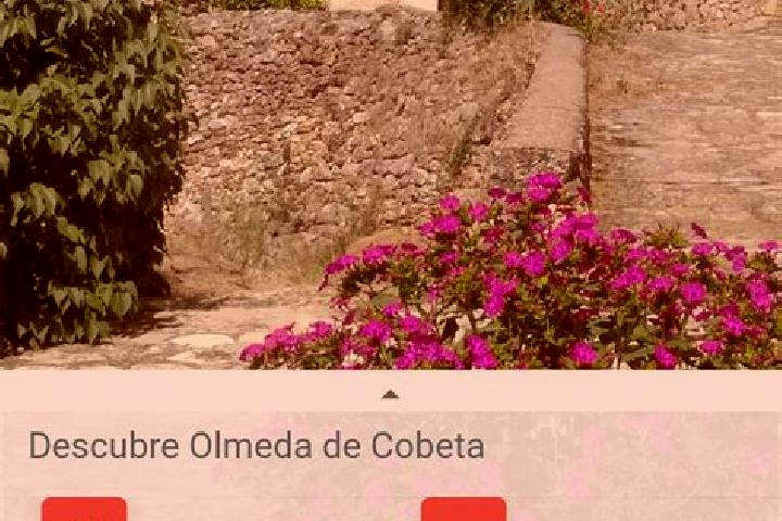 Escorts Olmeda de Cobeta, Spain — Local Companions