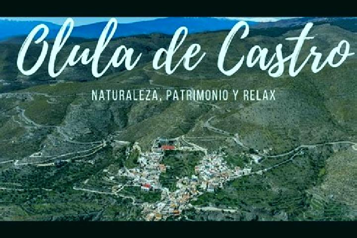 Escorts Olula de Castro, Spain — Local Companions