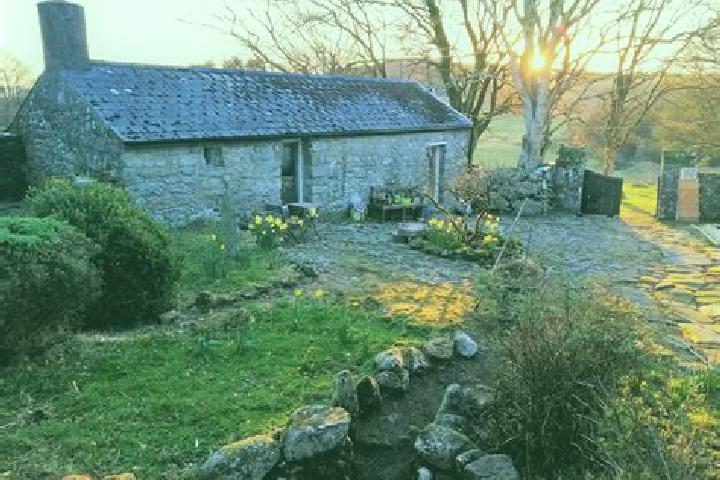 Escorts Omeath, Ireland — Local Companions