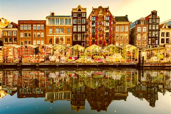 Escorts Ommen, Netherlands — Local Companions