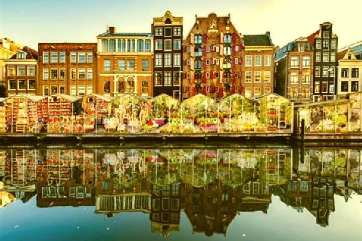 Escorts Ommoord, Netherlands — Local Companions