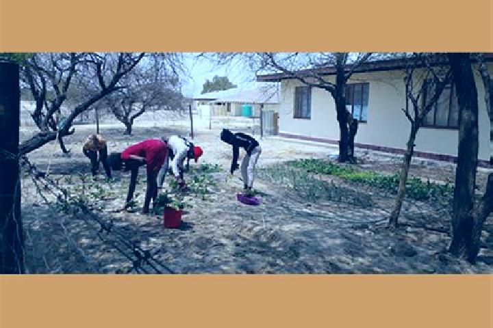 Escorts Oniipa, Namibia — Local Companions