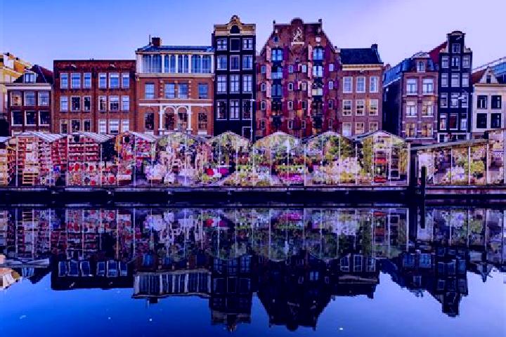 Escorts Oost, Netherlands — Local Companions