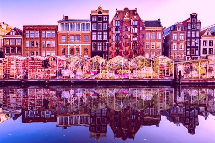 Escorts Oostwold, Netherlands — Local Companions