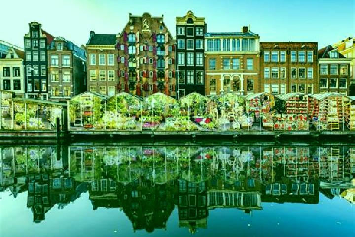 Escorts Ophemert, Netherlands — Local Companions